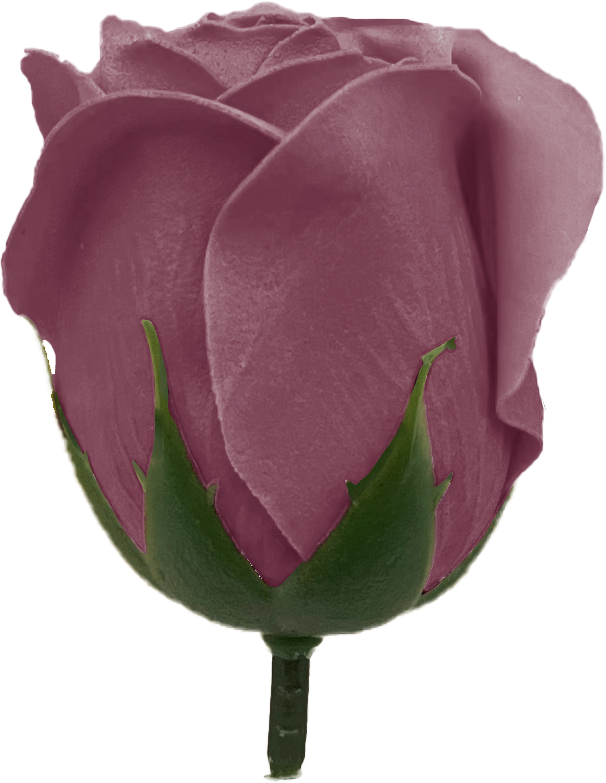IMG_9876